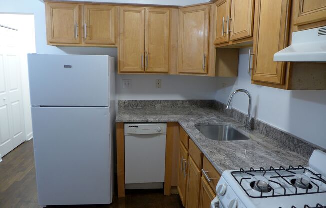 Studio, 1 bath, 475 sqft, $1,025, Unit 203