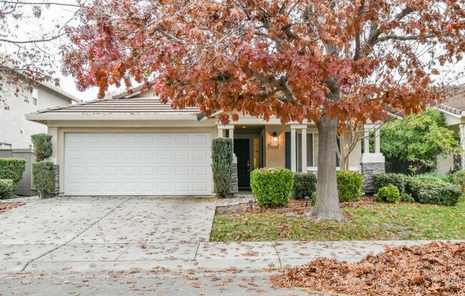 Gorgeous single story home in very desirable Natomas Park!