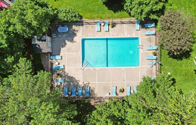An aerial view of a swimming pool surrounded by trees.