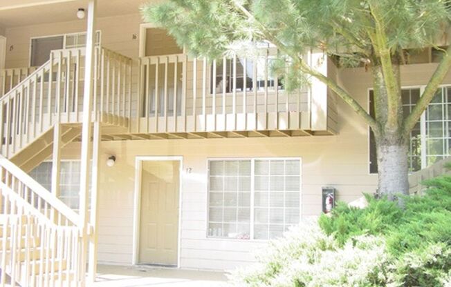 Lower level 1bd Apt, recently refreshed! LVP, new paint and more!
