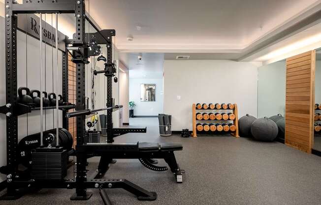 A gym with a squat rack, bench, and weights.