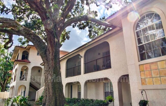 611 E. Amelia Street