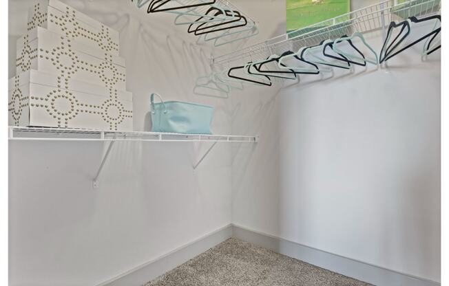 a closet with a shoe rack and a blue purse on a shelf