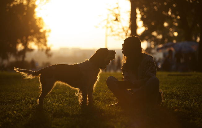 Off-Leash Bark Park