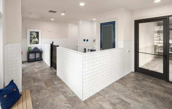 Pamper your fur friends at our pet spa!