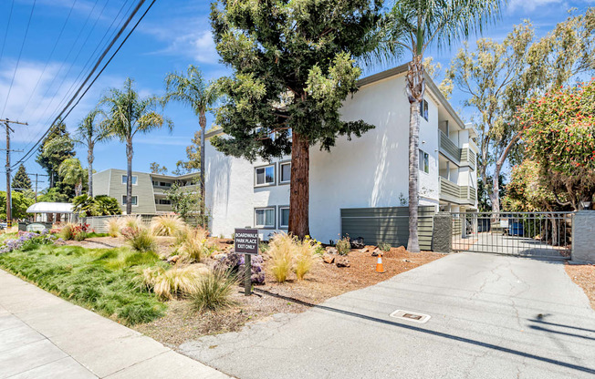 A white building with a tree in front of it.