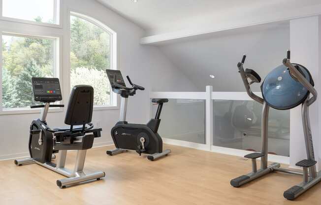 a gym with exercise equipment in a home gym