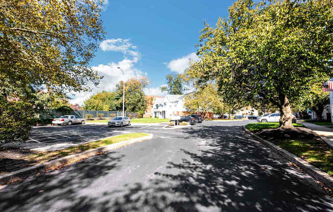 a city street with trees and cars on it