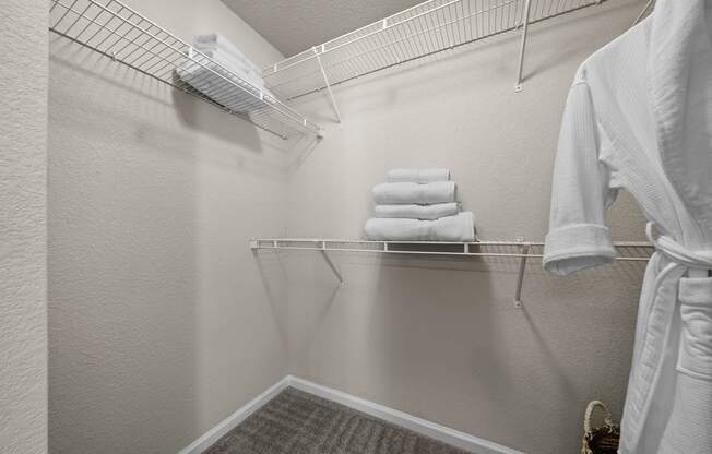 Spacious walk-in closets - Willow Spring Apartments