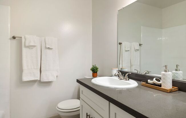 a bathroom with a sink toilet and mirror