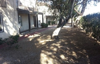 $299 MOVE-IN SPECIAL!!