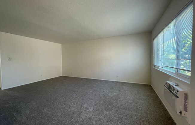 1630 Coriander Drive