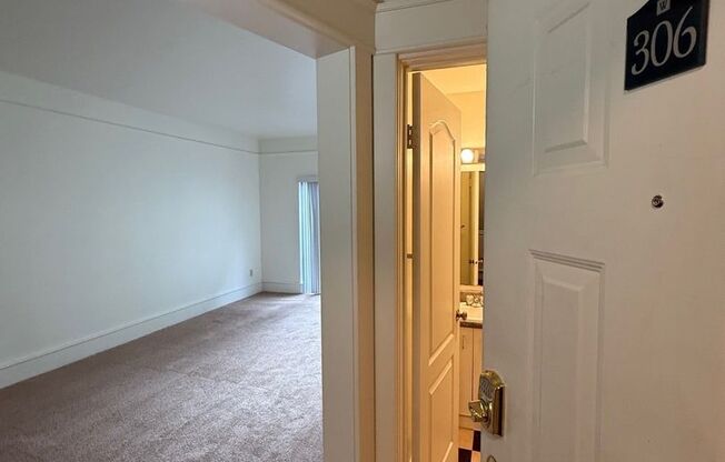 Studio, 1 bath, 405 sqft, $1,195, Unit 306