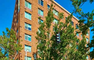 A tall brick building with many windows and trees in front.
