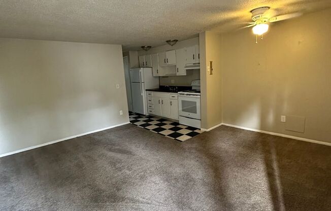 1 bed, 1 bath, $1,250, Unit 205