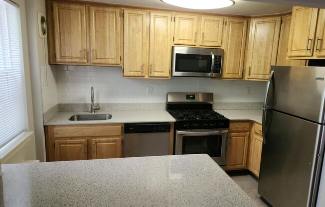 1 bed, 1 bath, 663 sqft, $1,750, Unit D-13