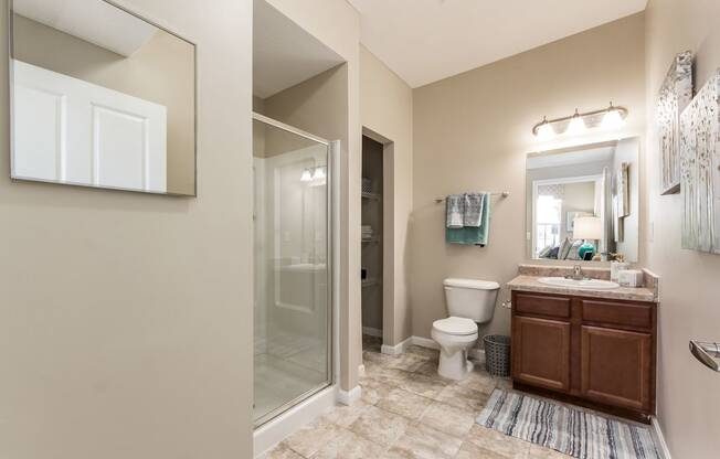 shower and sink vanity in bathroom
