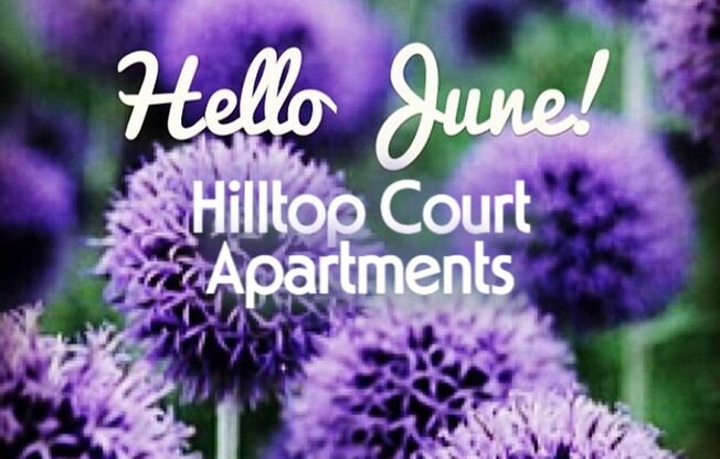 Hilltop Court Apartments