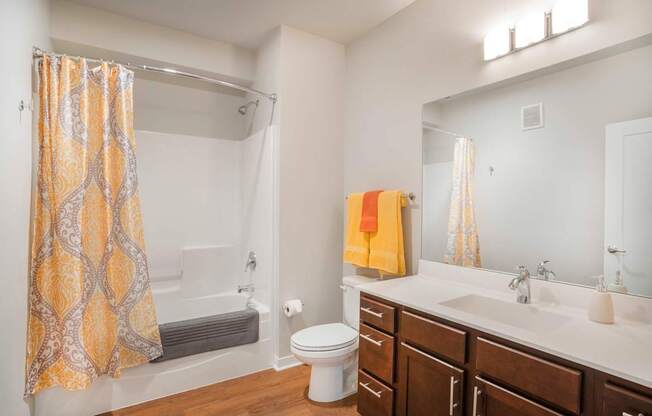 a bathroom with a sink toilet and shower and a mirror