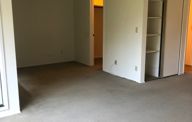 Studio, 1 bath, $1,900