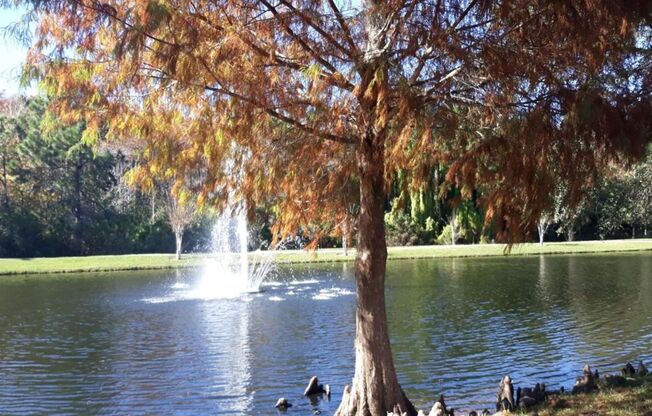 Cypress Fairways 1 Bedroom 1 Bath