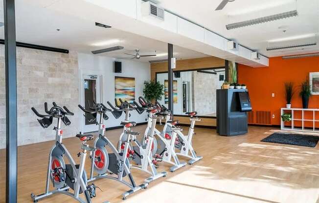A dedicated spin studio here at BRIO at Firewheel with stationary bikes, mirrored walls, ceiling fans, and bright lighting in a spacious, high-energy fitness room.