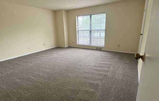 A room with a carpeted floor and a window.