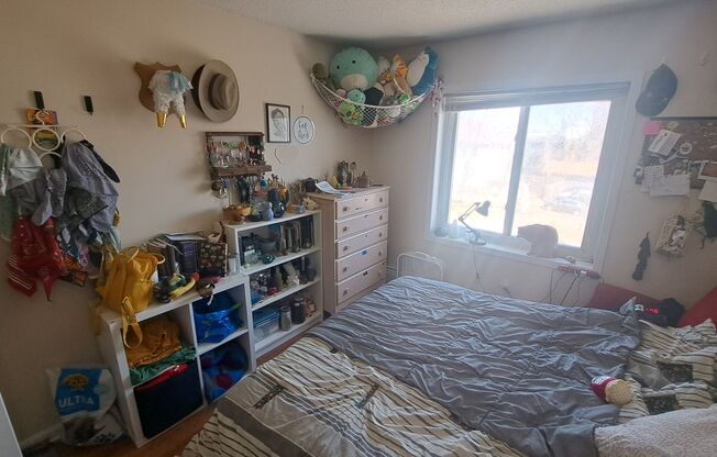 1 bed, 1 bath, 550 sqft, $1,150, Unit 310