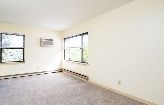 Studio, 1 bath, 403 sqft, $915, Unit 1191-203