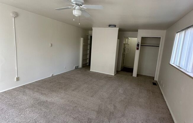 Studio, 1 bath, 300 sqft, $1,100, Unit 10