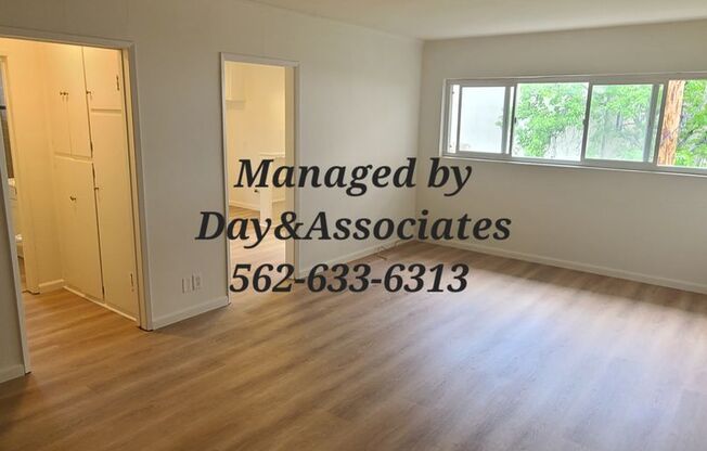 Studio, 1 bath, 590 sqft, $1,295