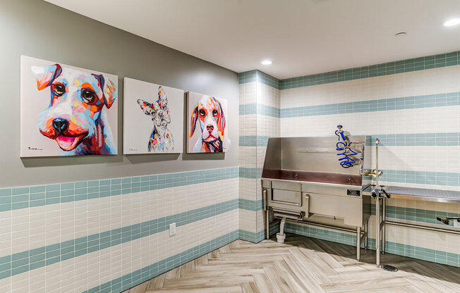 Pet Wash at Allure Apollo, Camp Springs, MD