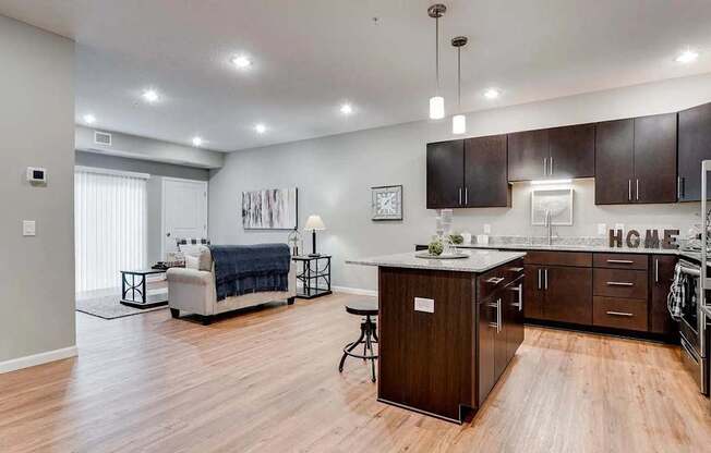 an open living room with a kitchen and a living room.  Circle Pines, MN Lexington Lofts