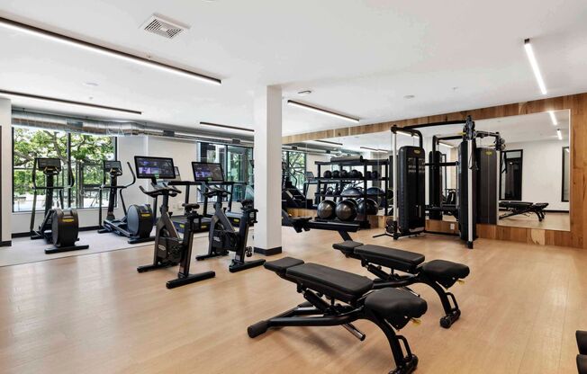 Studio, 1 bath, 497 sqft, $1,295, Unit 100