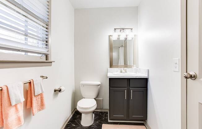 Renovated Bathrooms With Quartz Counters at Retreat at St. Andrews, Columbia