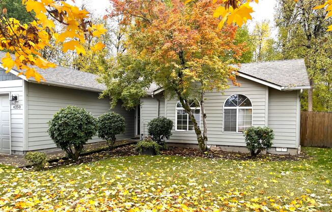 3 bed 2 Bath - Single Level home