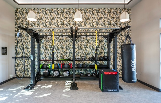Elevate your workout routine at Modera Georgetown's club-quality fitness studio, complete with a TRX station.