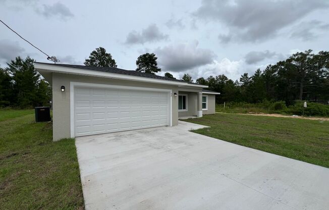 Stunning BRAND NEW UPGRADED 3 Bedroom / 2 Bath Home in Ocklawaha!