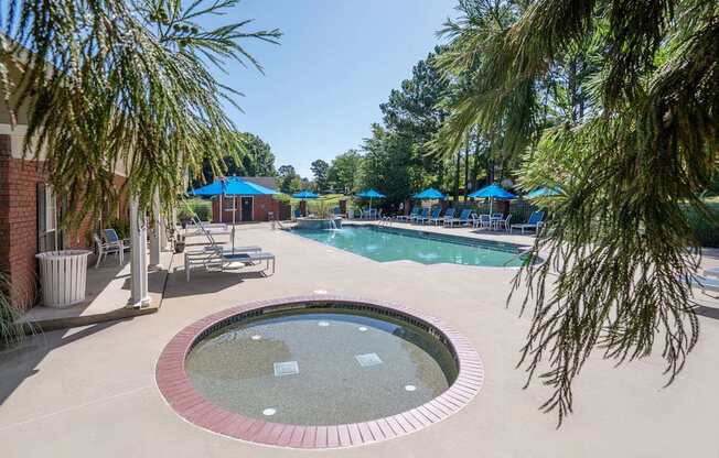 A pool surrounded by trees and umbrellas.