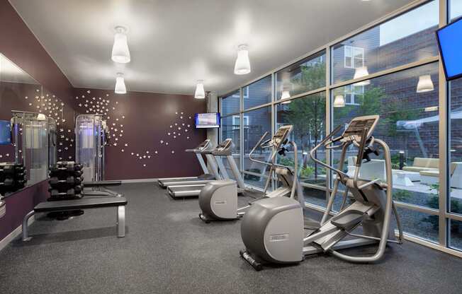 a gym with weights and a large window