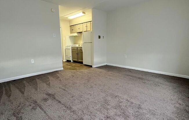 Studio, 1 bath, 575 sqft, $989, Unit 411