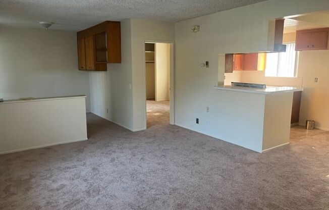 1 bed, 1 bath, $1,700