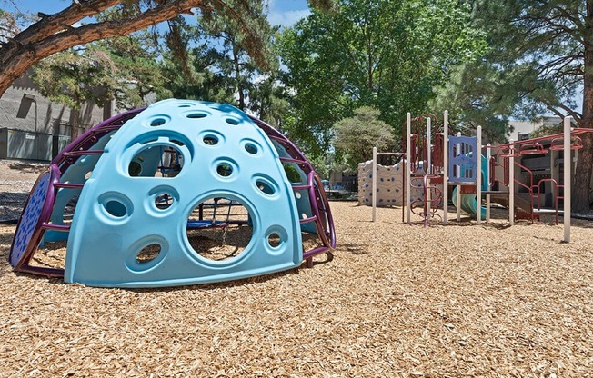 a playground at a park with a blue play dome