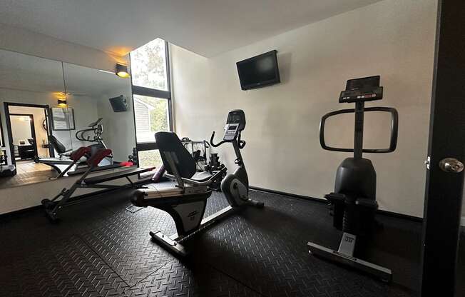 the gym has plenty of equipment and a television