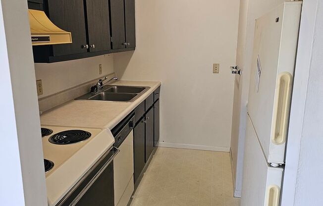 1 bed, 1 bath, 400 sqft, $695, Unit #8