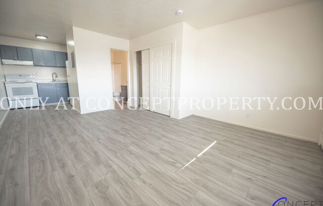 Studio, 1 bath, 360 sqft, $699, Unit 238