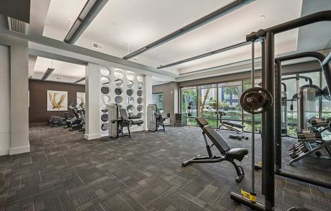 A gym with a variety of equipment including a squat rack and a bench.