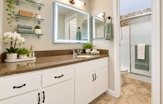 1 bed, 2 baths, 1,000 sqft, $4,095, Unit 333