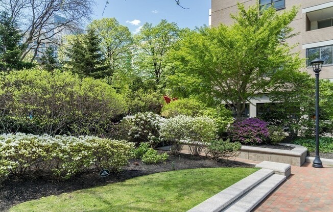 Studio, 1 bath, 536 sqft, $2,800, Unit 4B