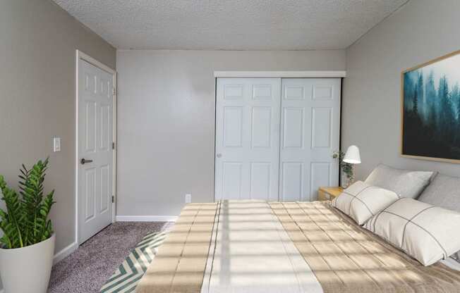 a bedroom with a bed and a closet